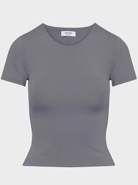 Aritzia Original Contour Crew T-Shirt